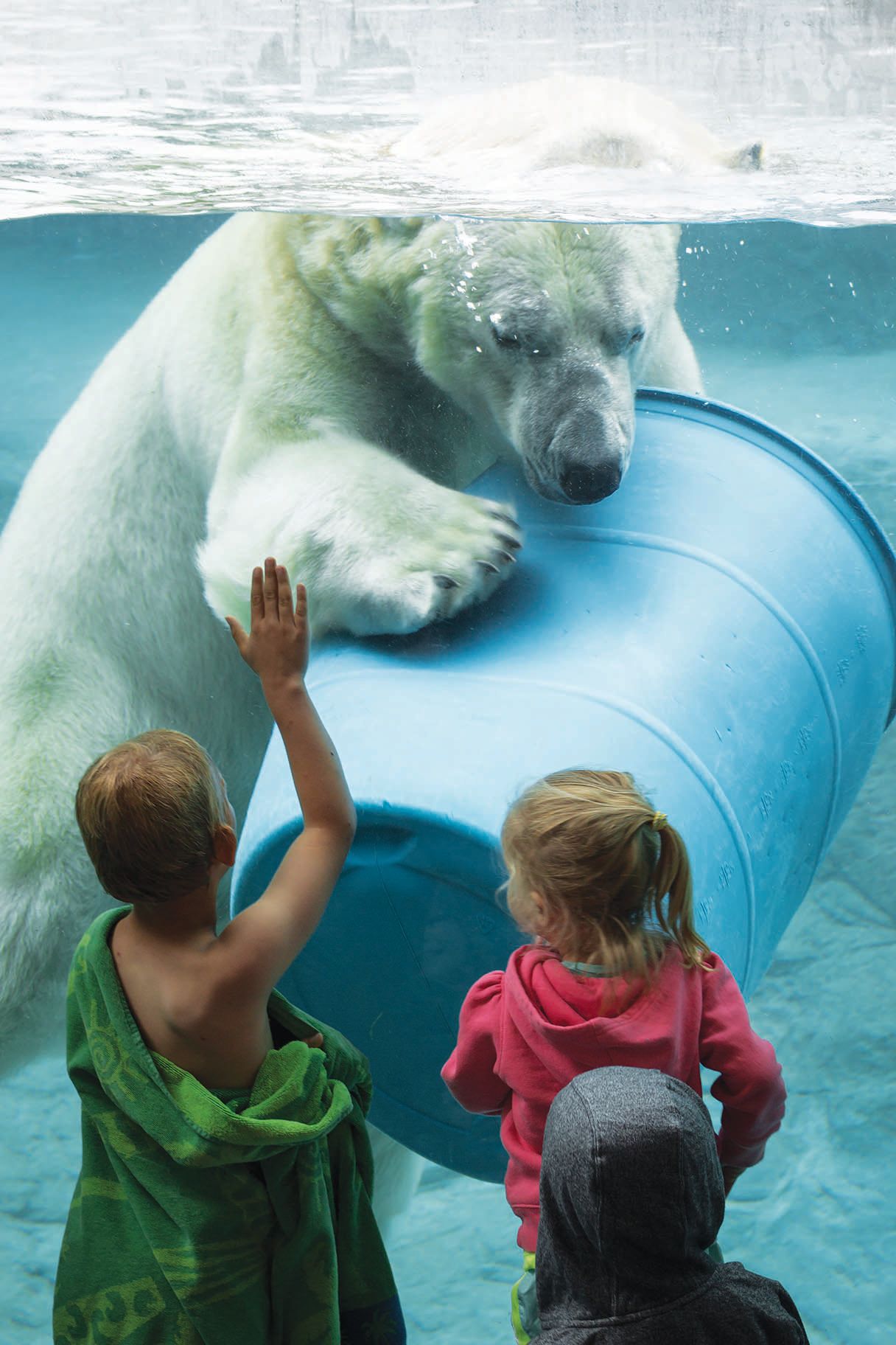 Two small children watching through glass as a polar bear swims with a barrel underwater just in front of them. The child on the left has his hand on the glass as though trying to touch the polar bear.