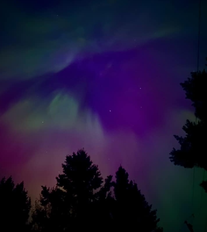 The Northern Lights over Ontario; swirls of vivid purple, pink and green in the night sky, framed by the black silhouettes of trees.