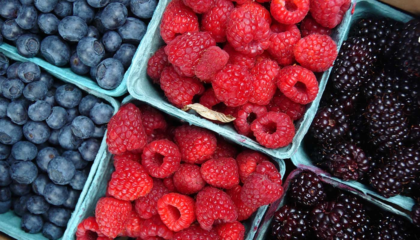 farmersmarkets.jpg farmersmarkets.jpg