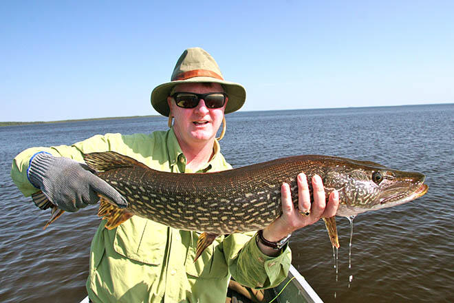 northernpike colin