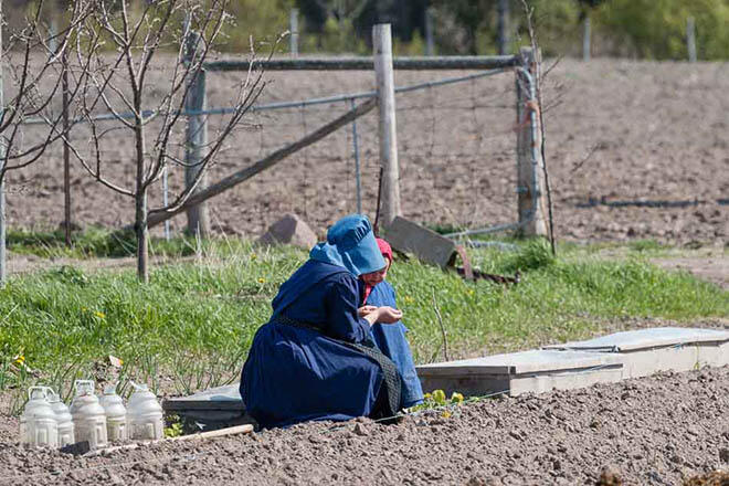 PlantingSeeds sheriminardi