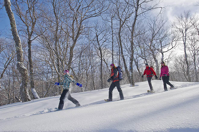 snowshoe algoma highlands