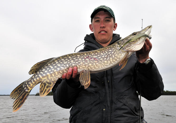 northern pike