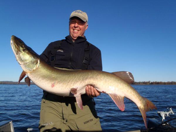 Big muskies will often hit your lure so gently in the cold water of late fall that all you will feel is a subtle bump of tick
