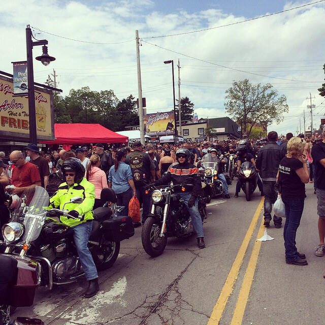 14265312909 2c2cbc9fab z