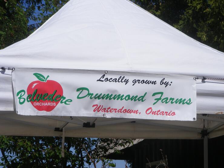 DRUMMOND 2 resized 630