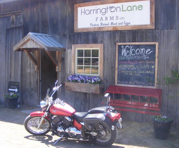 HARRINGTON 1 resized 630