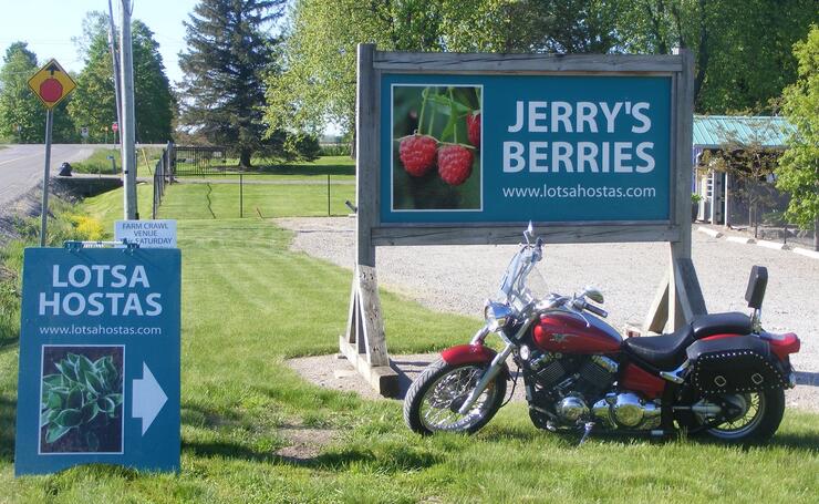 JERRYS AND HOSTAS 1 resized 630 again