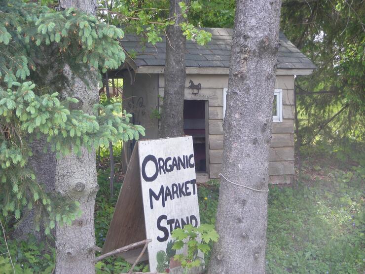 MANORUN 3 resized 630 again