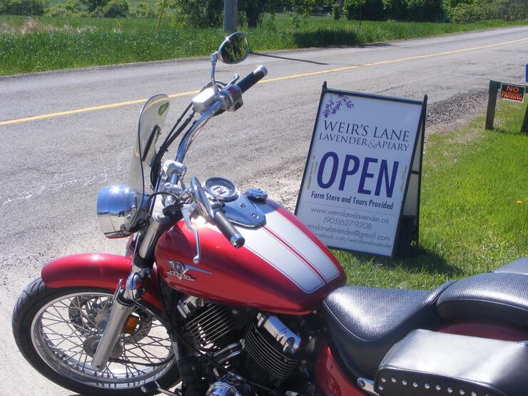 WEIRS 3 resized 630 again