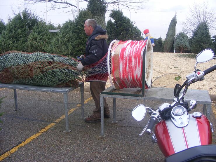 GREY CUP SUNDAY 2014 1210 2