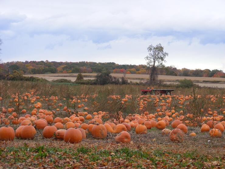 ST GEORGE AREA 1210 1