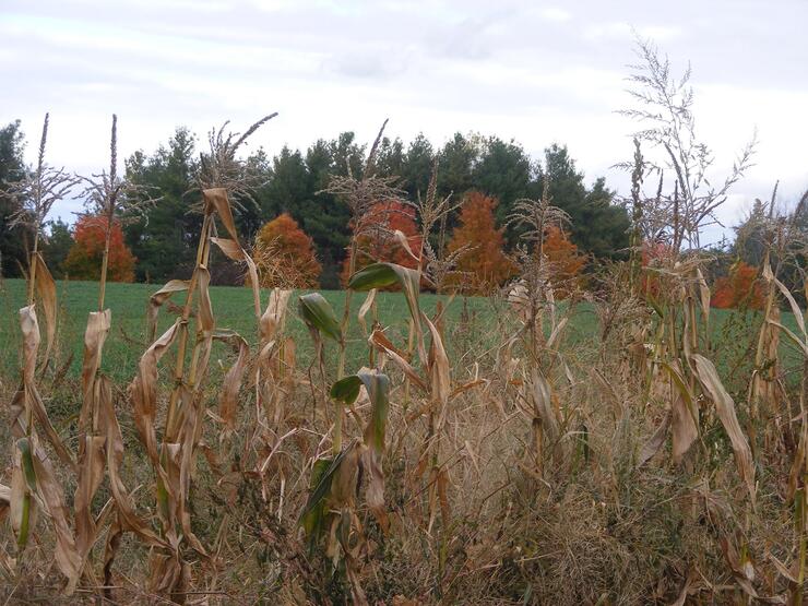 ST GEORGE AREA 1210 3