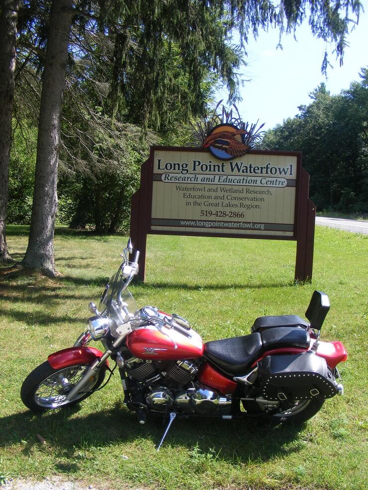 WATERFOWL 1 1210 smaller