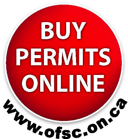 1 BuyOnline Colour blkurl