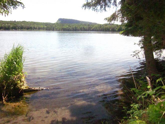 Nipigon Trail marsh