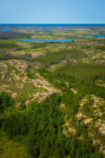Woodland-Caribou-Prov-Park-landscape