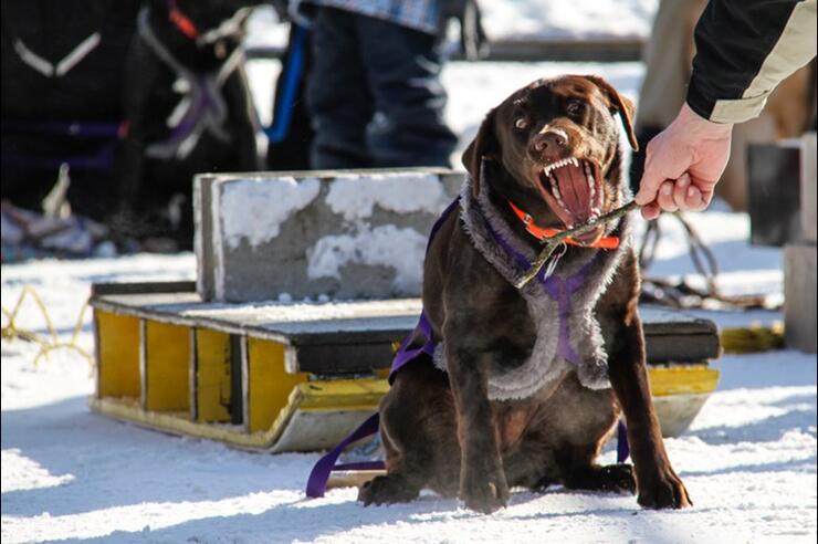 02YearInPhotos2014007