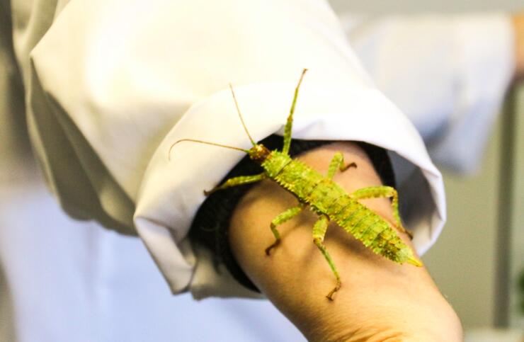 Screen Shot 2015-01-15 at 1.28.42 PM