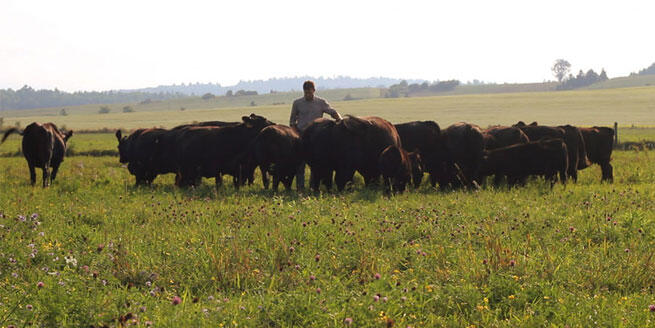 ValleyField Farm - Sylvan Valley Ontario
