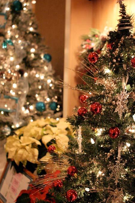 Festival of Trees08 13