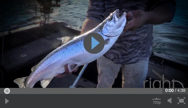 Screen Shot 2015 08 18 at 11.45.29 AM