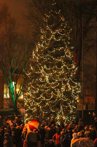 Screen Shot 2014-11-20 at 3.08.54 PM