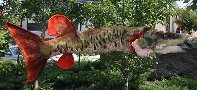 Erika Olsen's muskie can be found right after crossing the street from the Whitecap Pavilion heading towards Main Street
