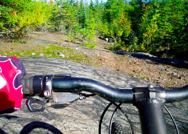 Mountain Biking at the Charleson Recreation Area