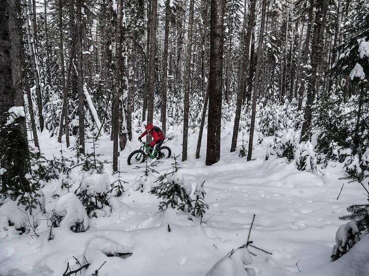 Man riding fat bike on snowy trail in a forest.