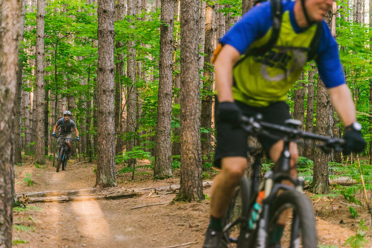 Man on a mountain bike riding on a woodland trail.