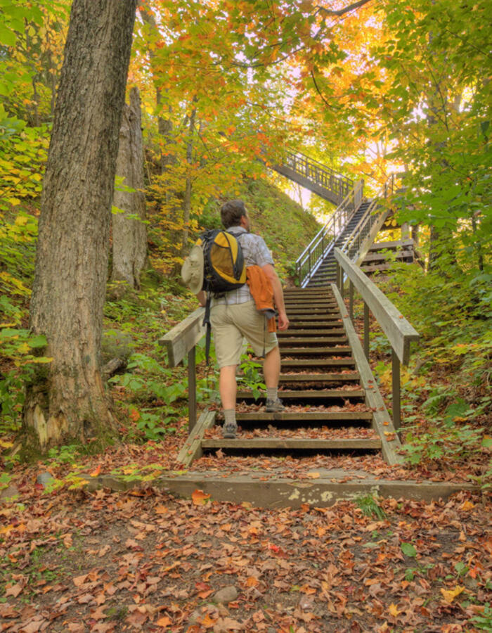 lookout trail