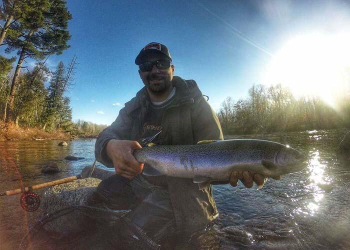 fly fishing for algoma steelhead