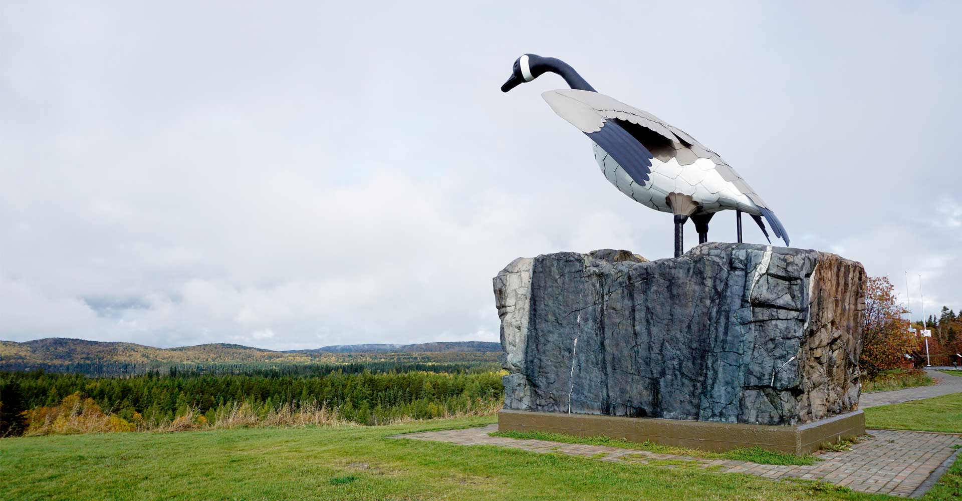 wawa-goose-motorcycle-mojo.jpg wawa-goose-motorcycle-mojo.jpg