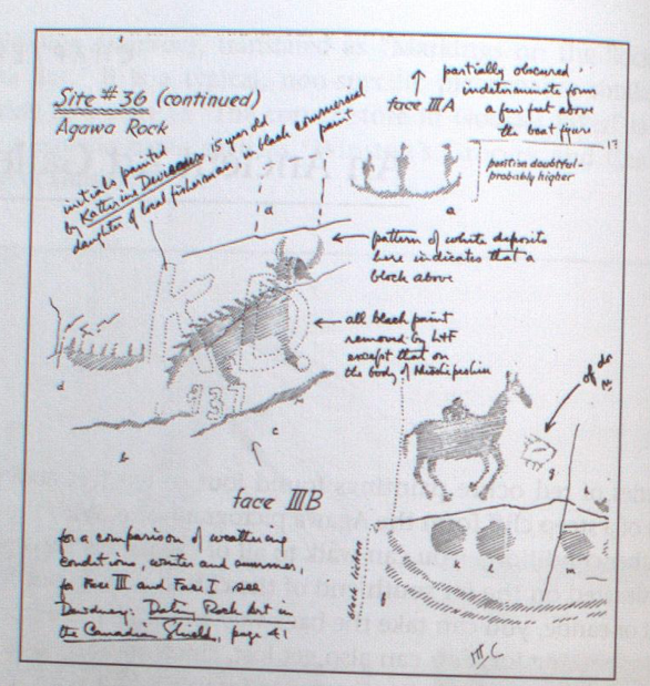 Selwyn Rock Notes