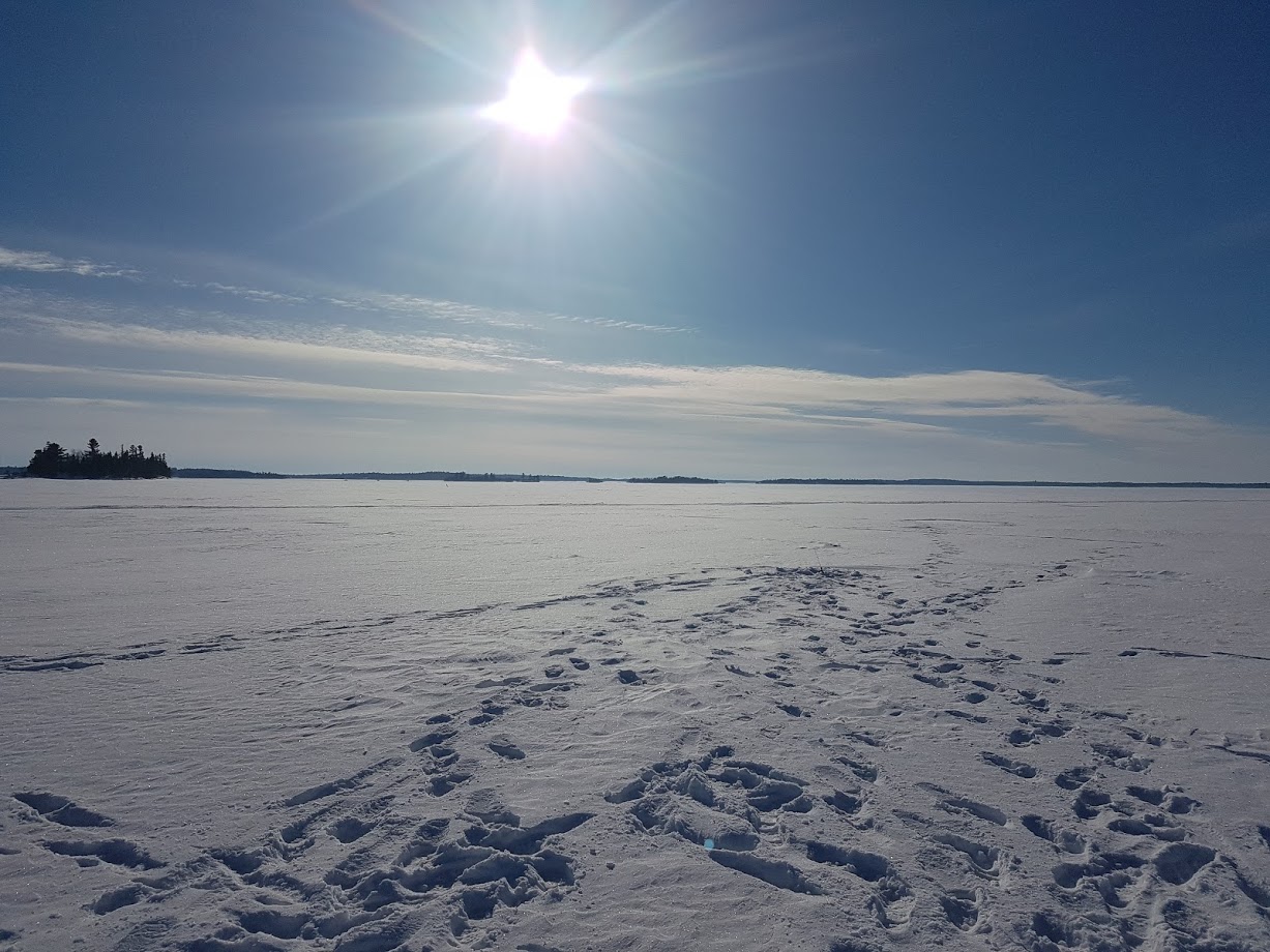 Snowy landscape in Ontario