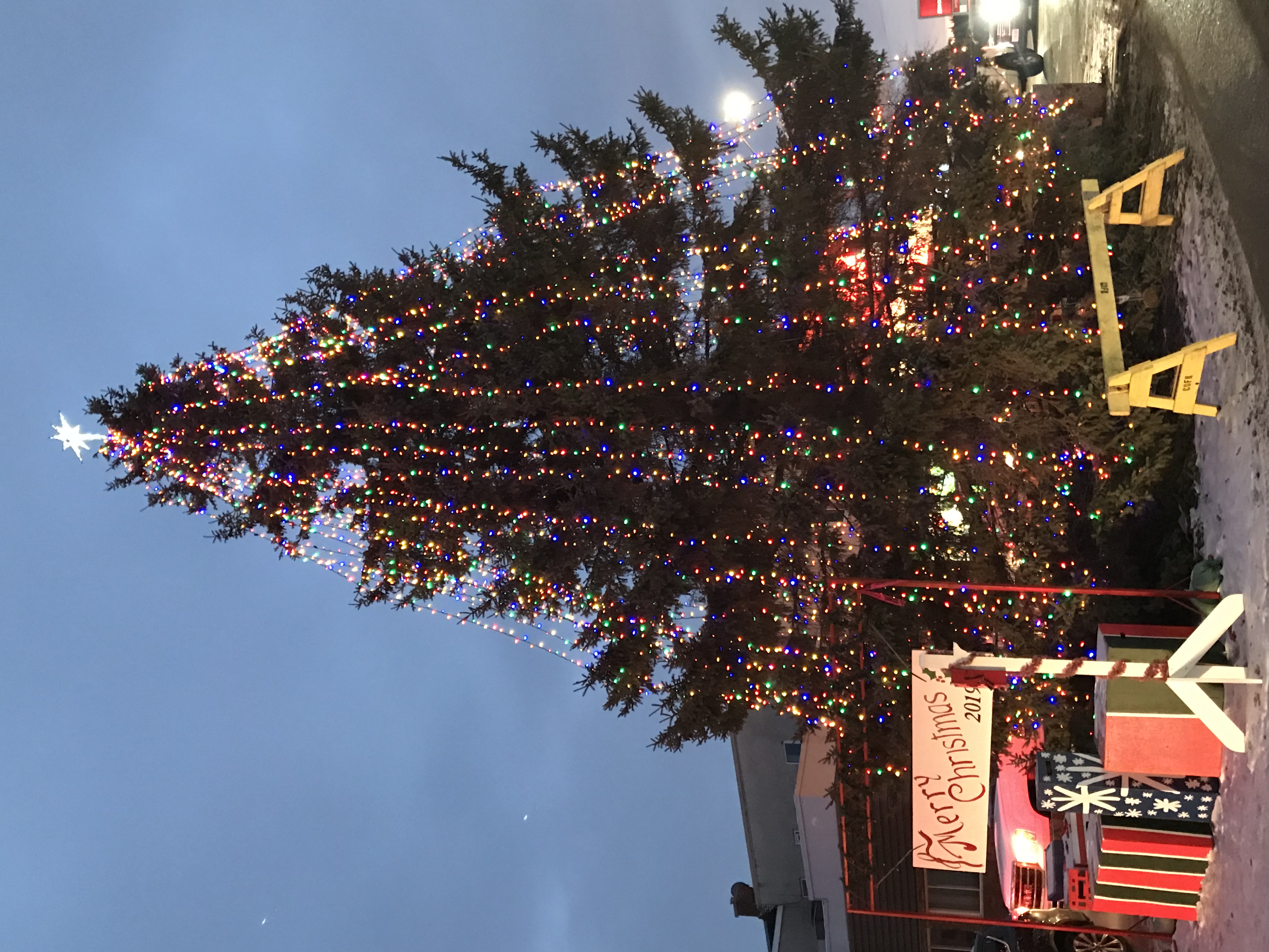Kenora Main St Christmas Tree 2019