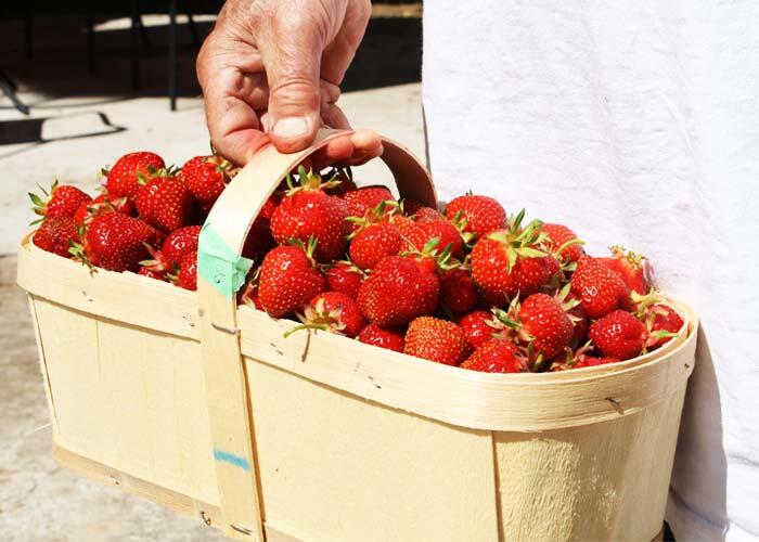 thomsonstrawberryfarm_basket1.jpg.jpeg