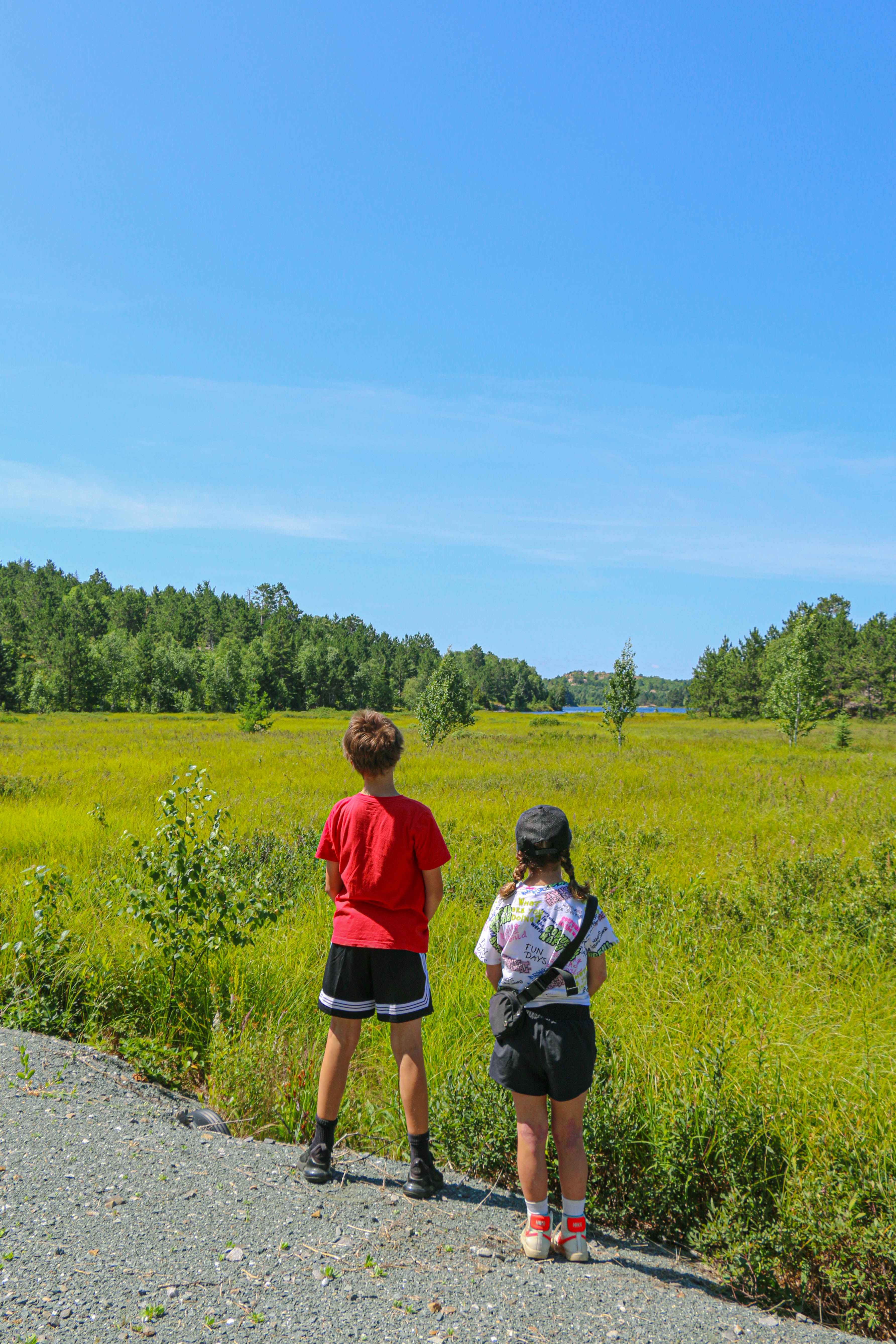 Children on a hike at Kivi Park