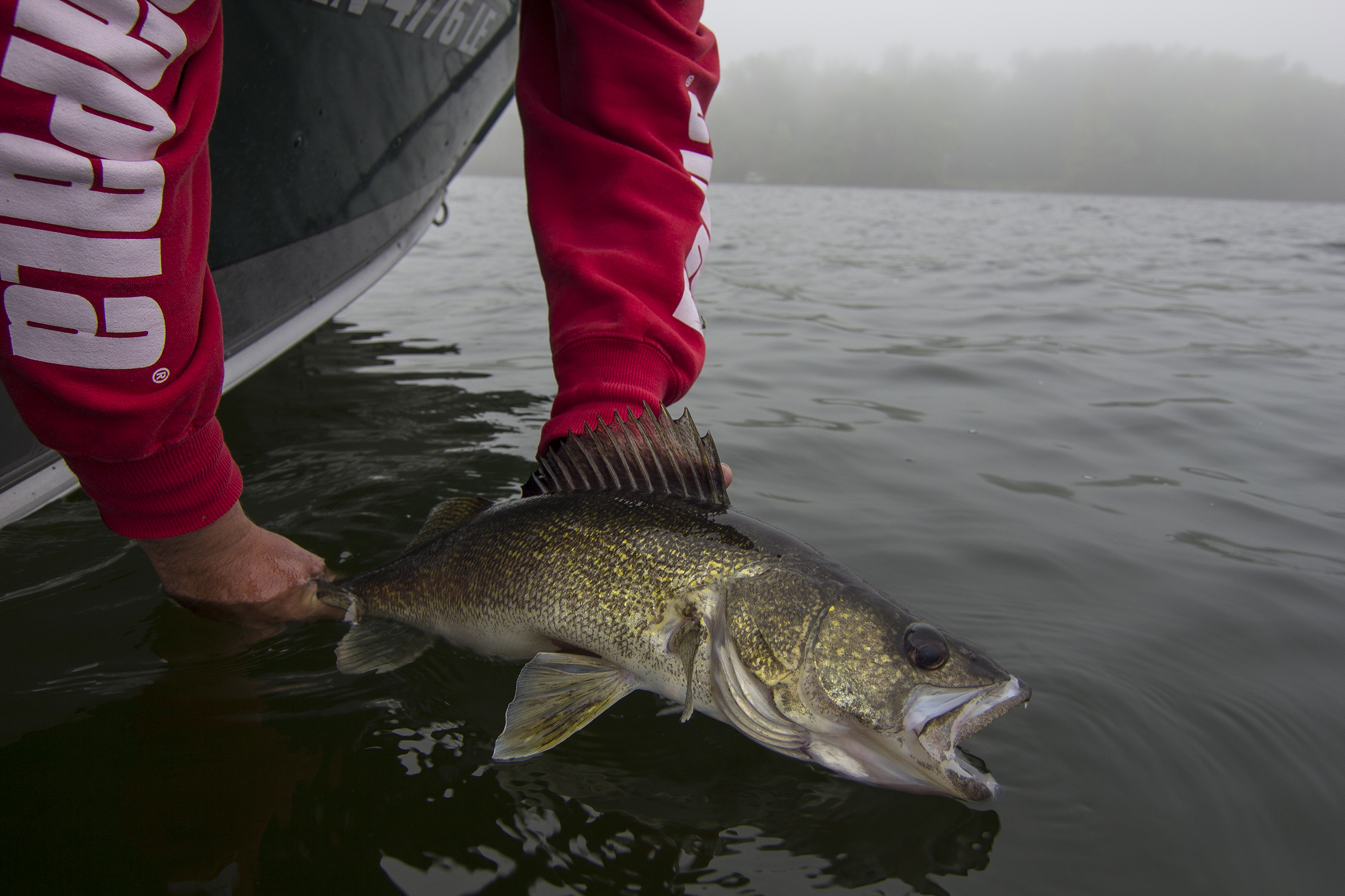 Get an Outdoors card and fishing license and go in search of Ontario Gold!
