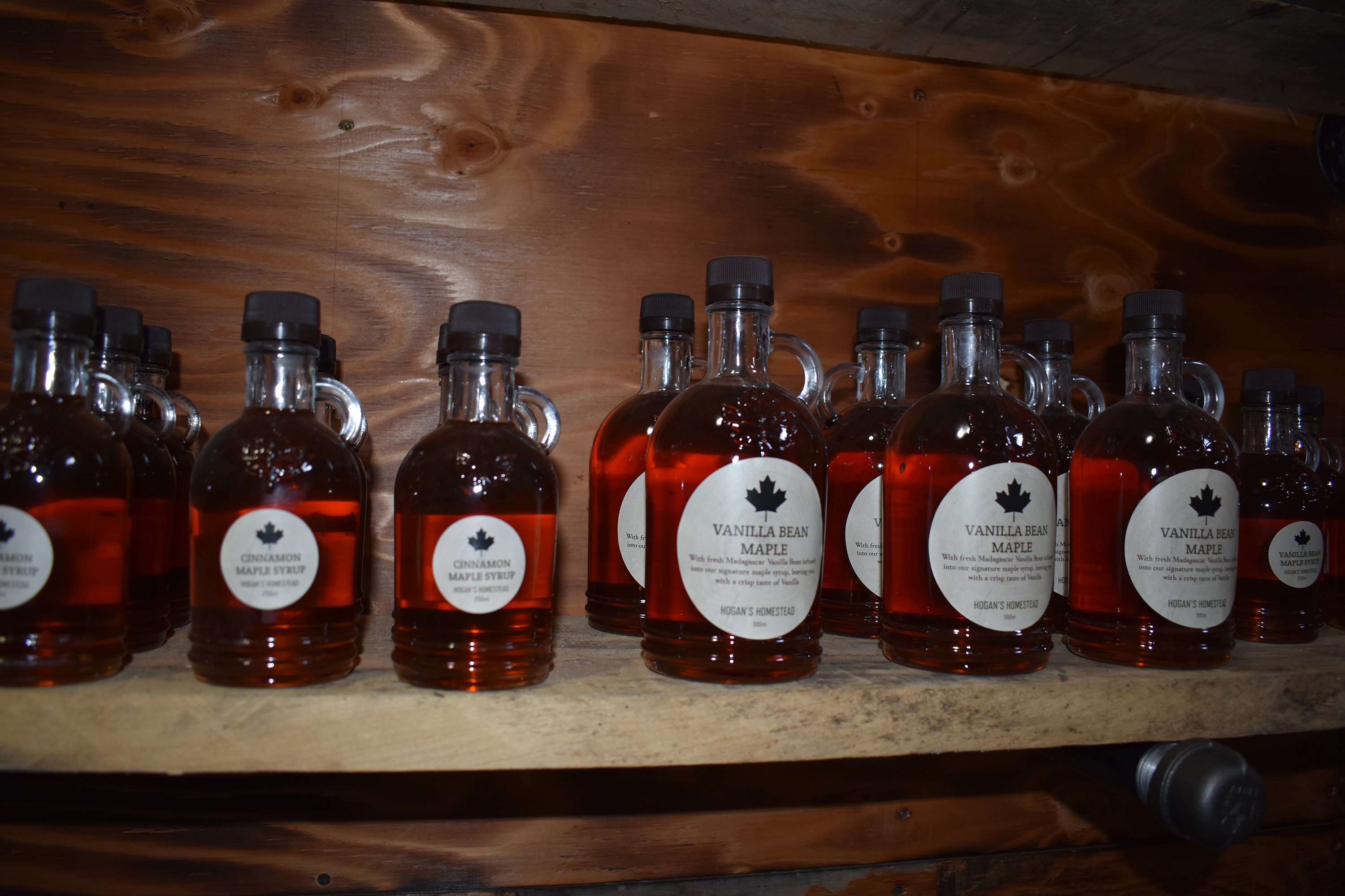 DSC_0711.jpg DSC_0711.jpg