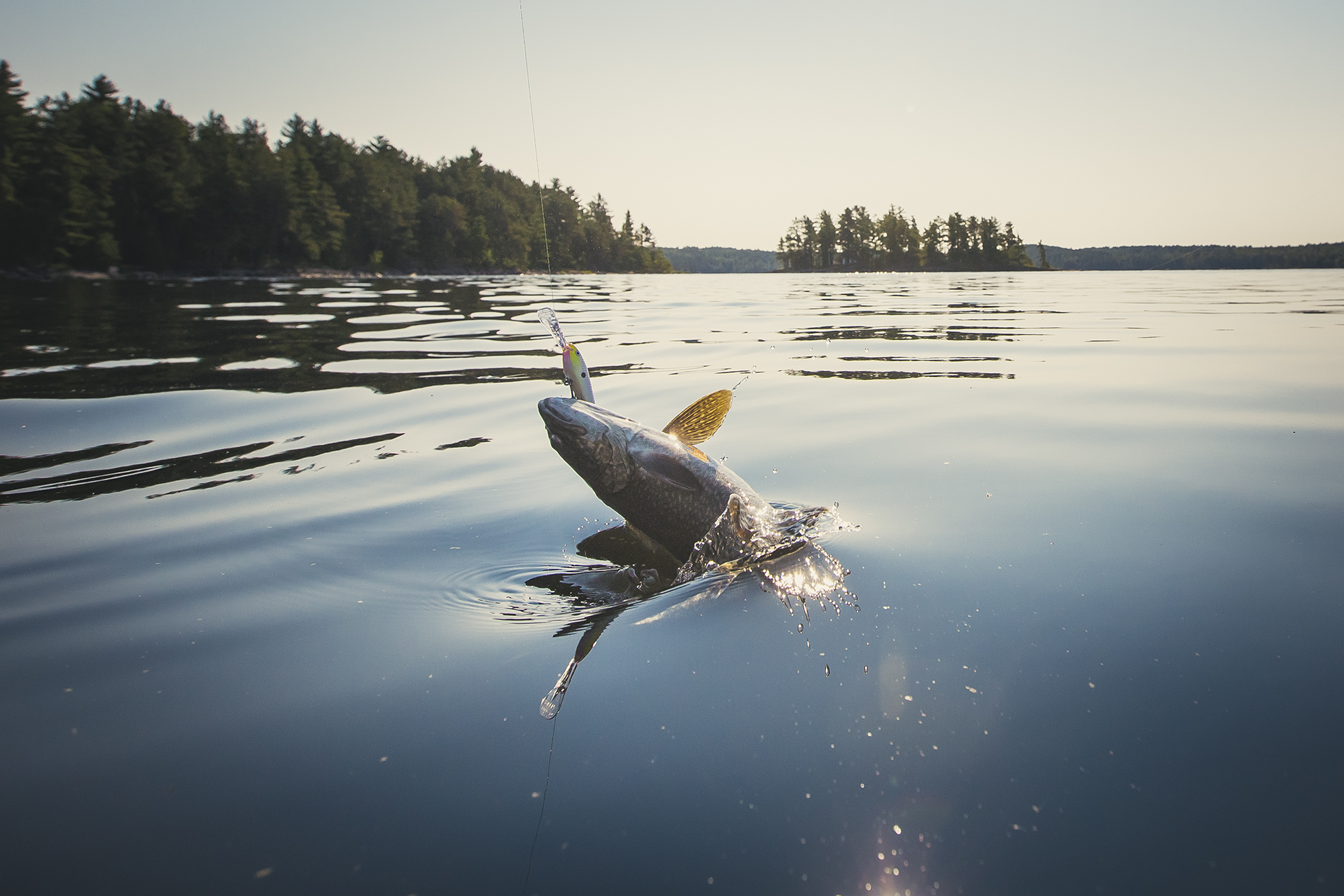 get-hooked-on-fishing.jpg get-hooked-on-fishing.jpg