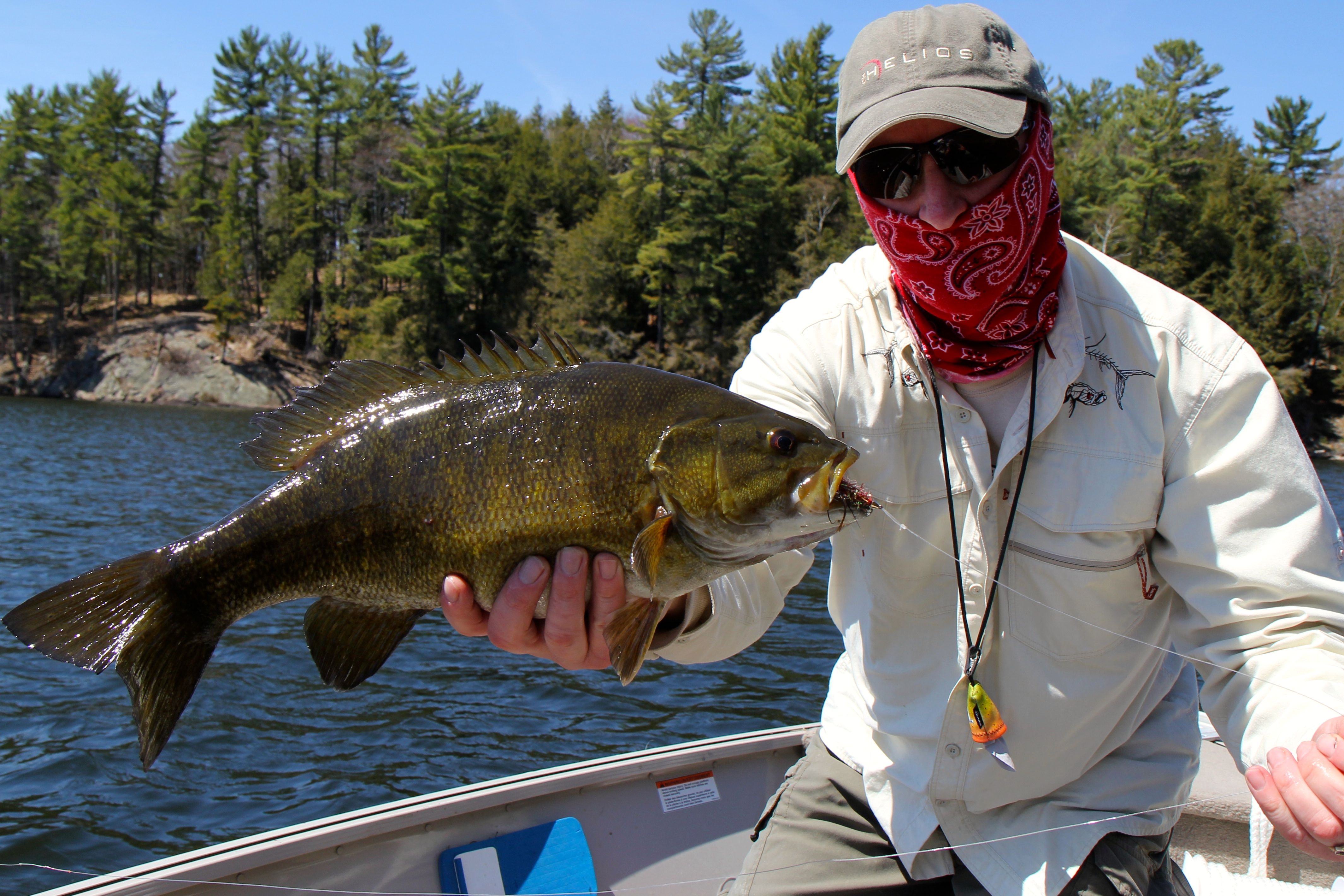 smallie18.jpg smallie18.jpg