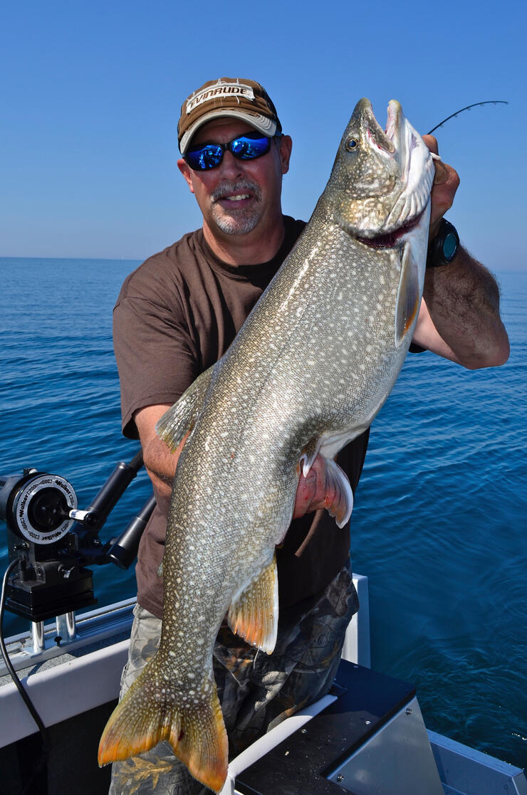 markromanack laketrout fishing