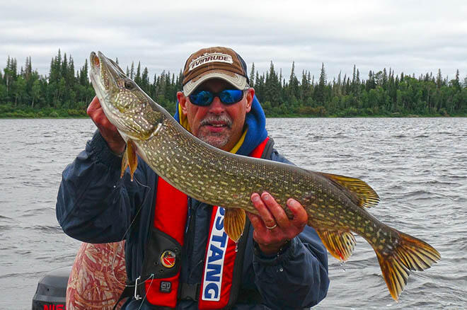 weedless jigs pike fishing 411