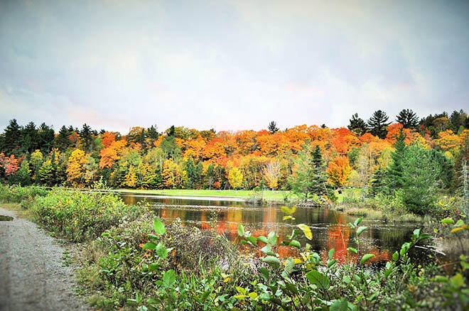 fallcolours hiawatha