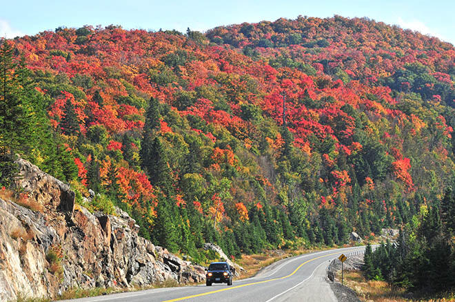 fallcolours hwy556 searchmont