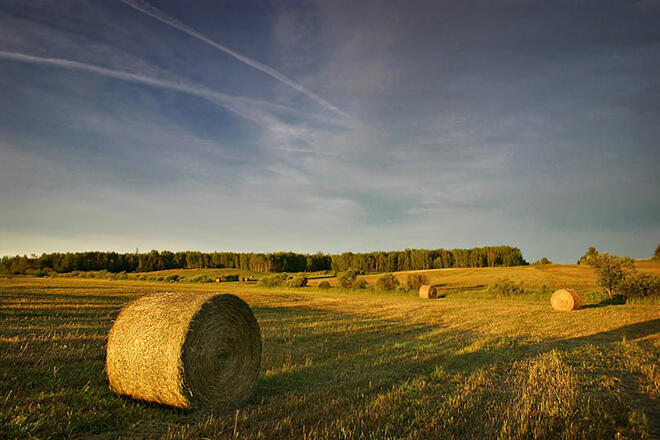 rydal-bank-farmland-13