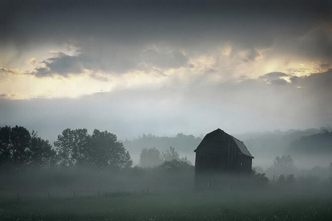 sylvan-valley-fog-6