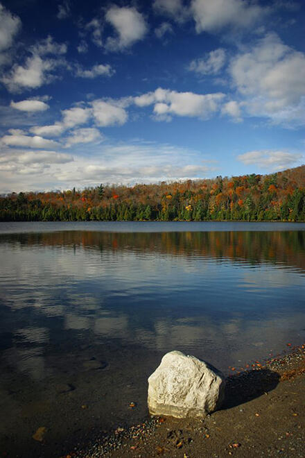 tower-lake-public-park-7